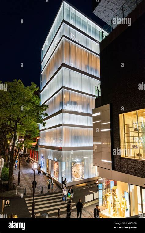 japan dior